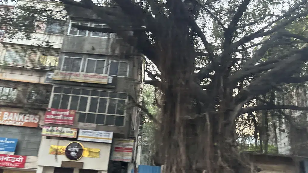 Sai Sagar Hotel