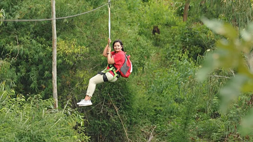 Jungle Trailz