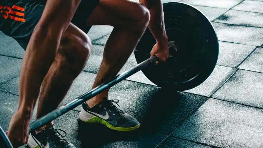 The BODY FUEL