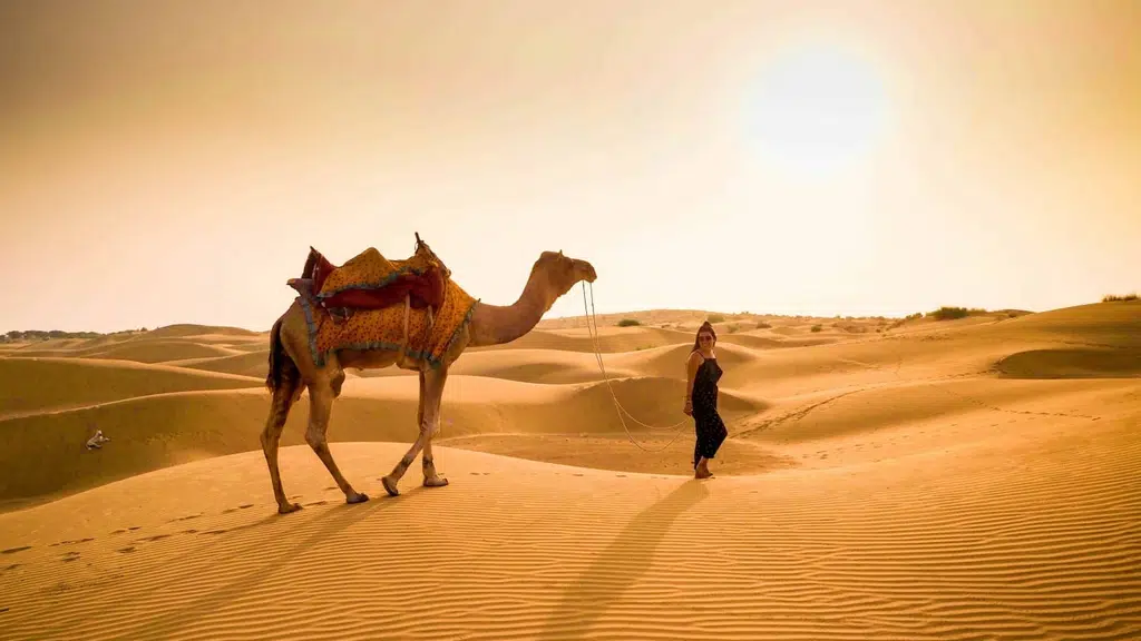 N Joy Tours And Travels