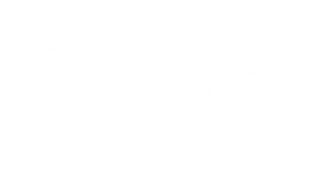 The Chinese Factory