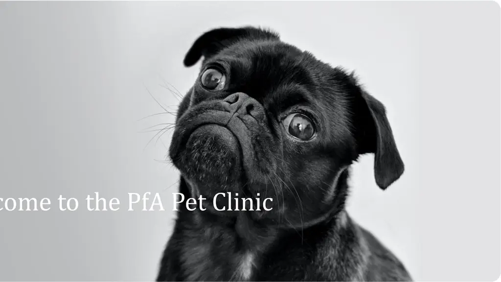 PfA Pet Care & Clinic