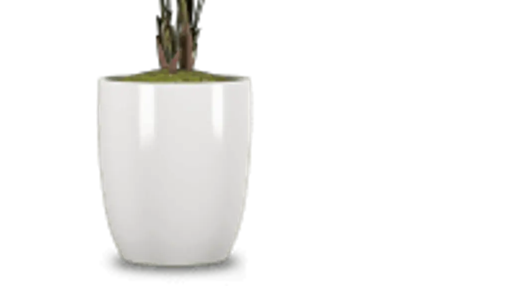 Tulsi Furniture and Home Store