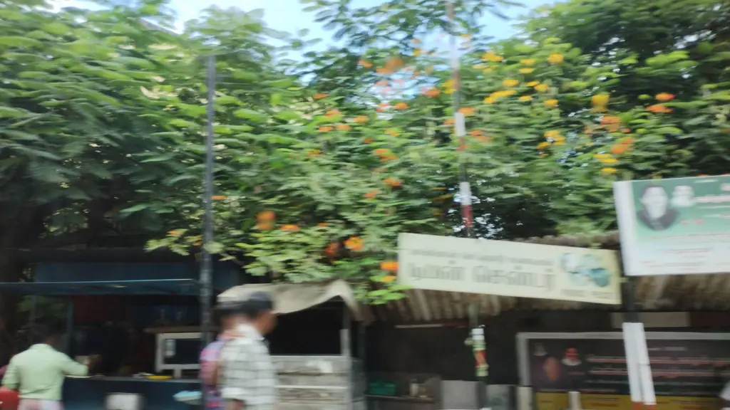 Sheela Hospital