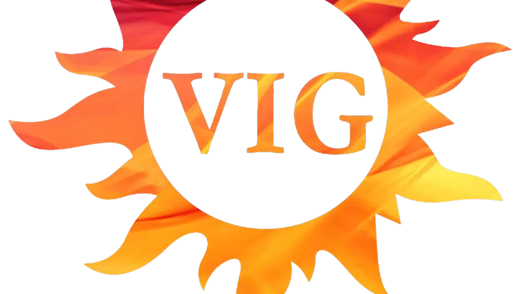 Vig Digital Studio