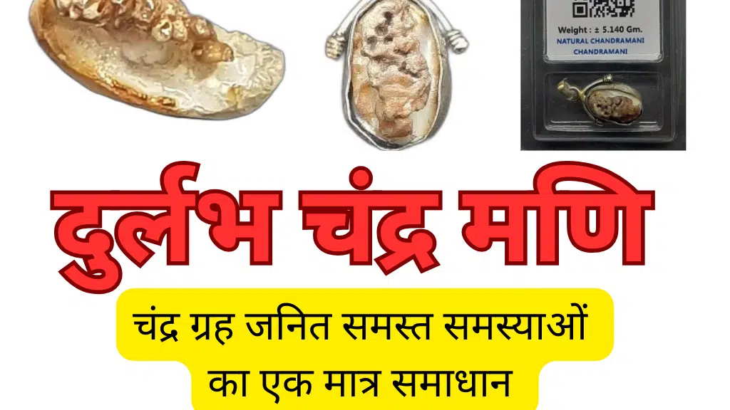 Tantra Astro (Astrology, Palmistry, Gemstone, Rudraksha, Crystal, Mala & Shaligram)