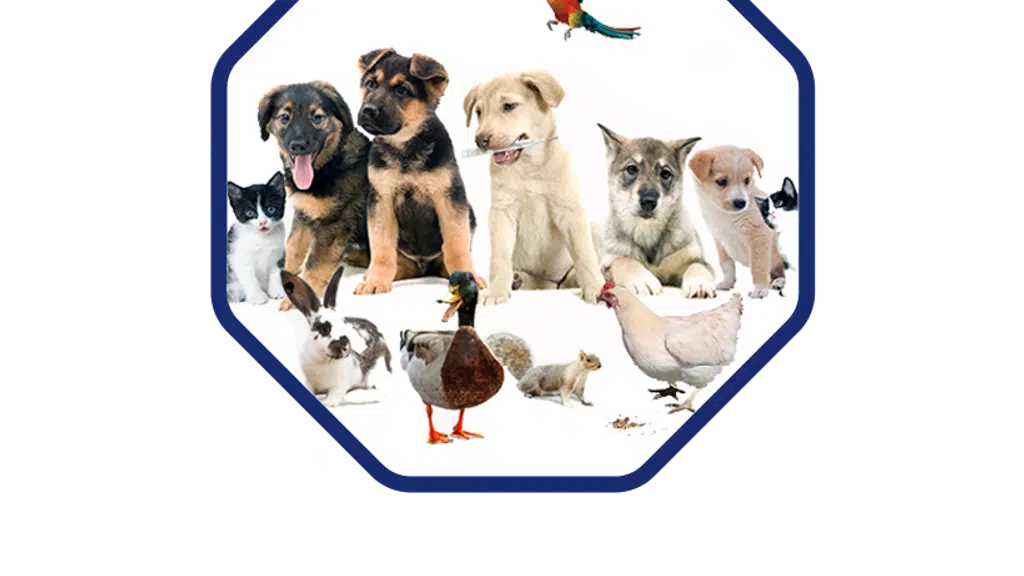 Pawsitive Pet Clinic