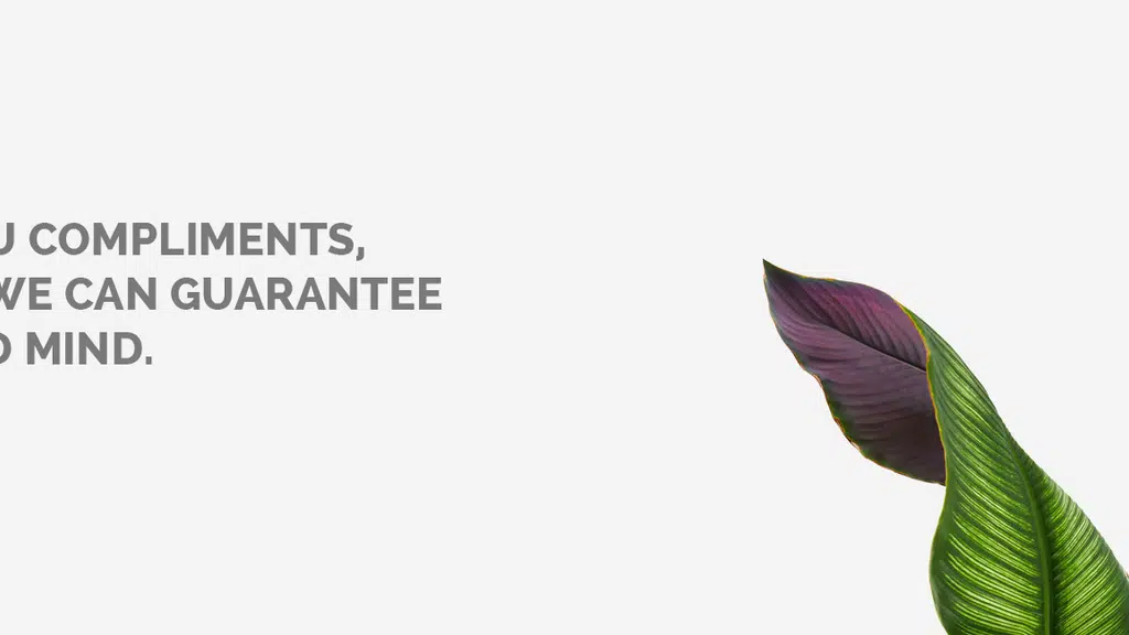 TeaFloor Online Private Limited