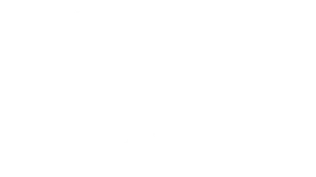 Vora Corporate Finance