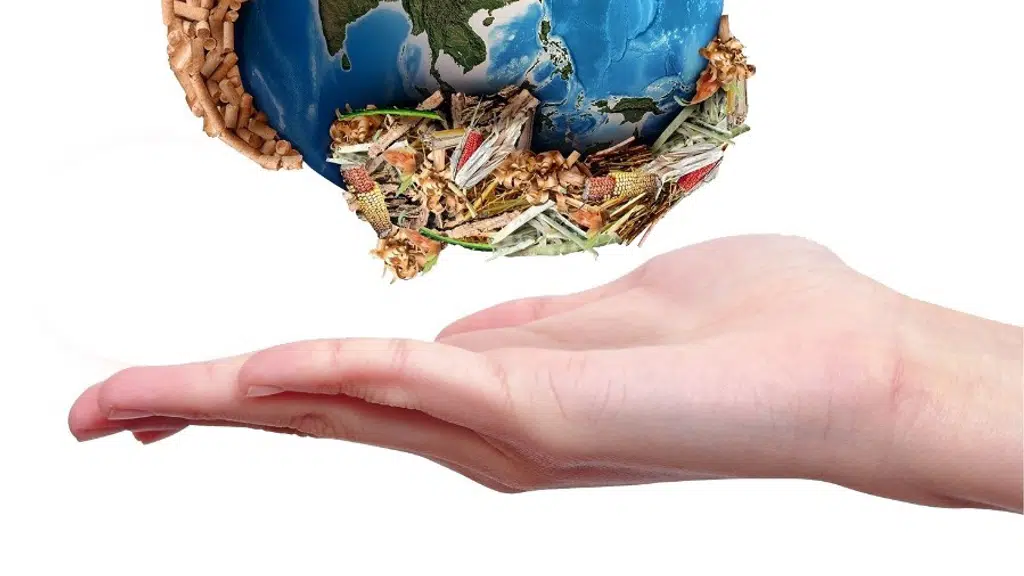 Ecostan Biofuel