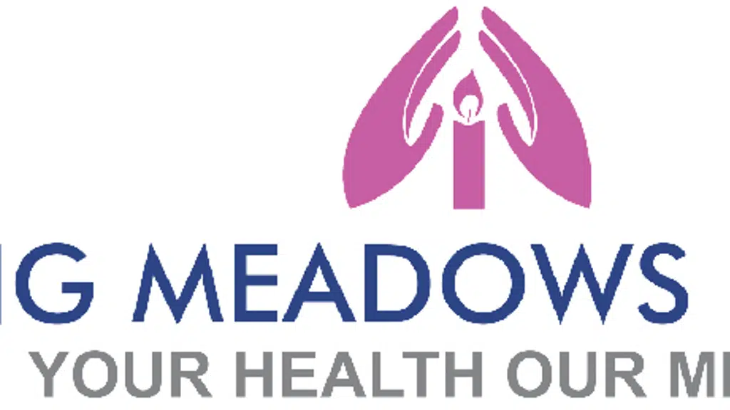 Spring Meadows Hospital