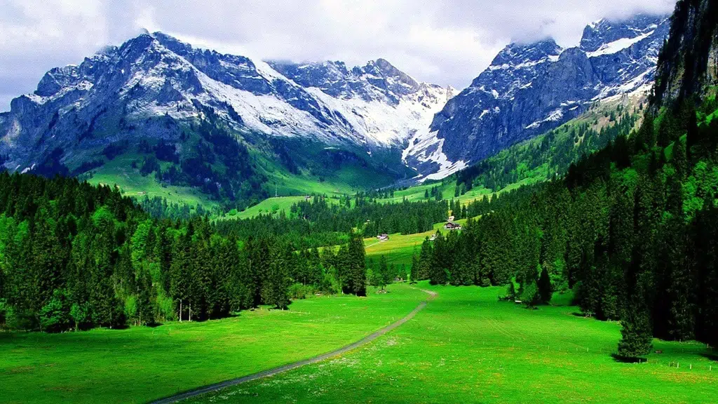Shades Of Himalaya