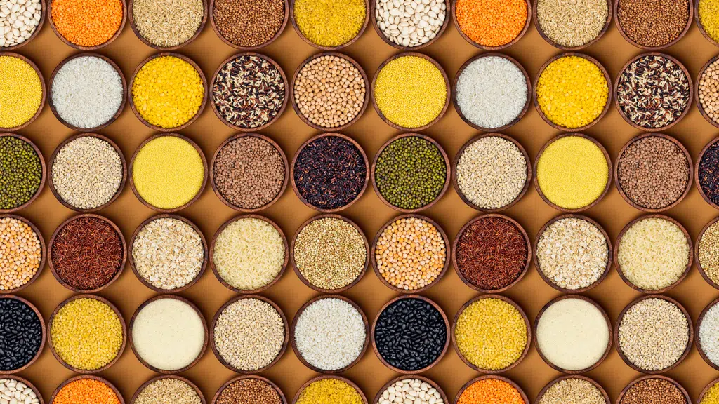 Weltweit Agri Exports LLP