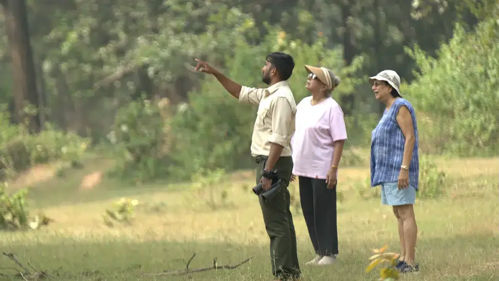 Bagh Tola Jungle Lodges