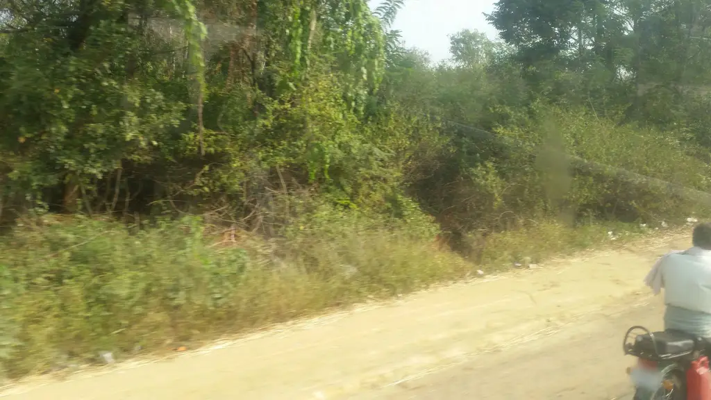 Vaishali Channapatna