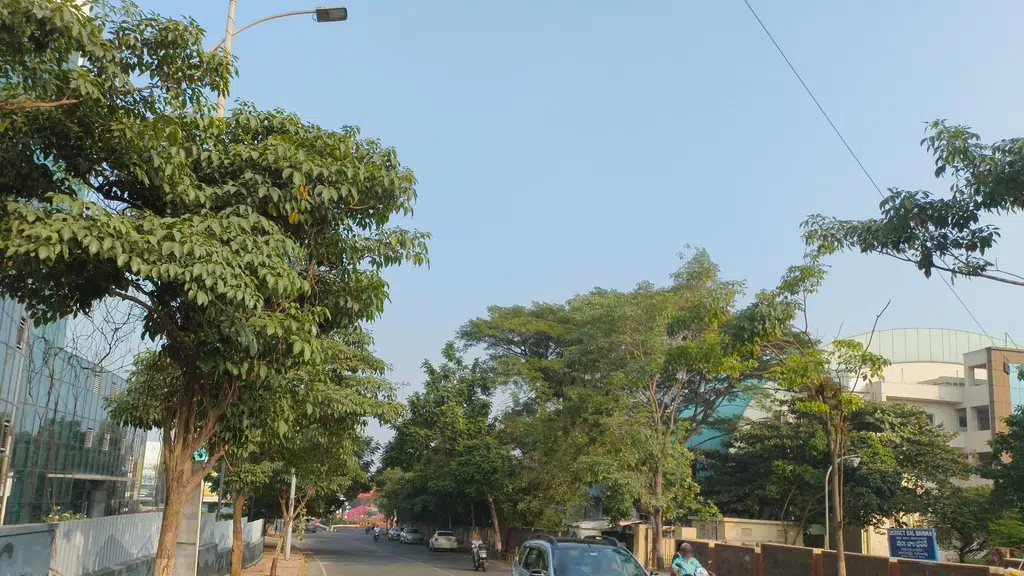 Sri Kanya Comfort