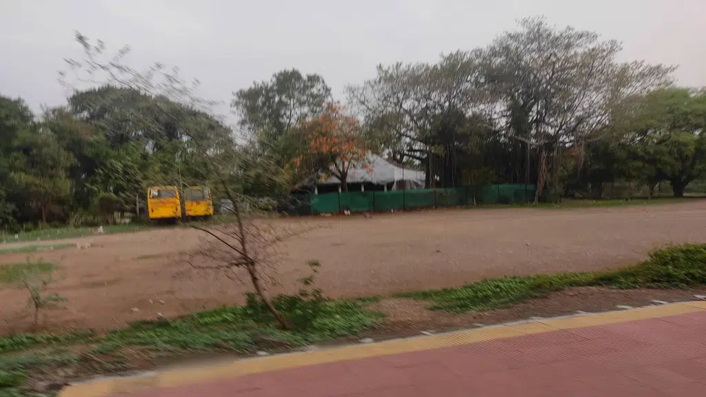Indian Education Academy
