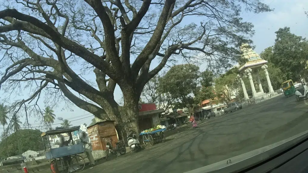 Shri Bet Narayana Maharaja Memorial Trust