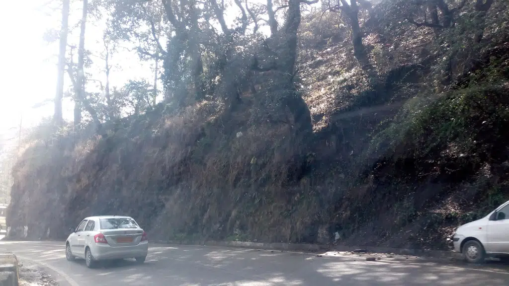 Shimla High Court