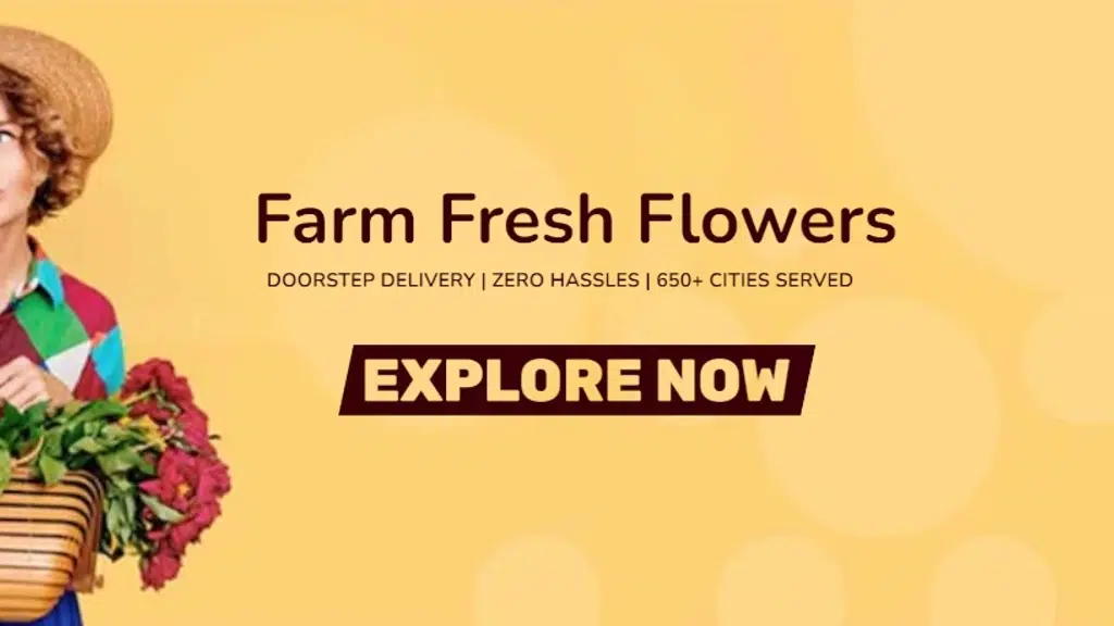 Better Gift Flowers Nagpur