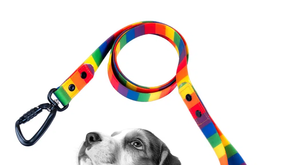 Adils Pet Care