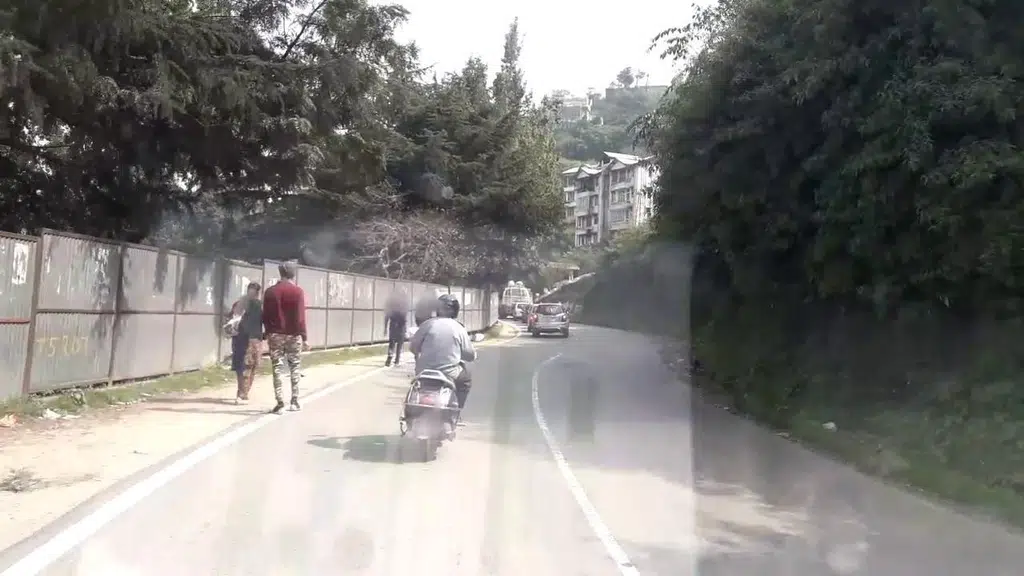 Shoghi Hillz