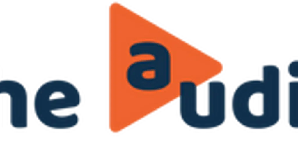 The Audio Store