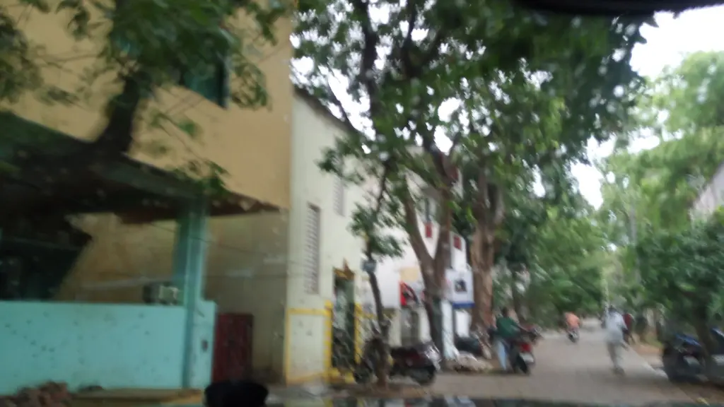 TTD pujari.  guruji