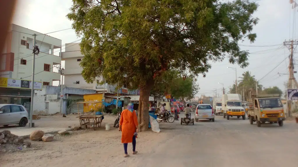 Andhra Pradesh Grameena Vikas Bank Maruthi Hills Branch