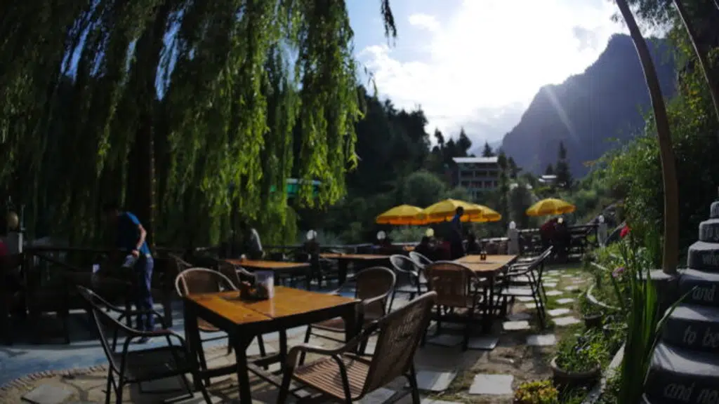 The Lazy Dog Lounge