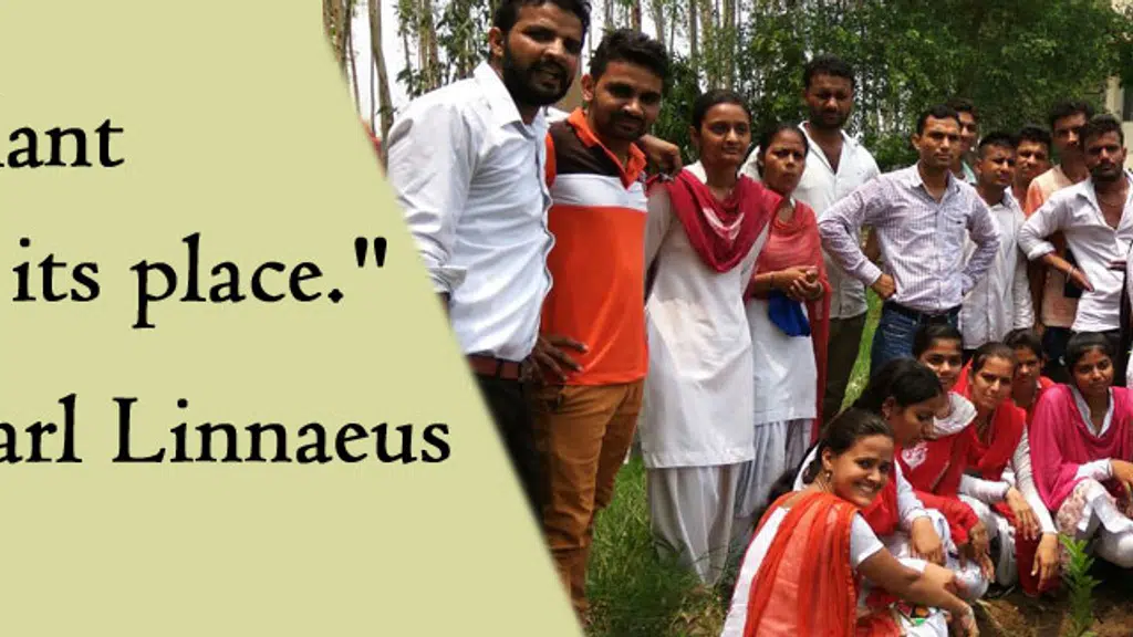 Ram Narayan Institute Of Education