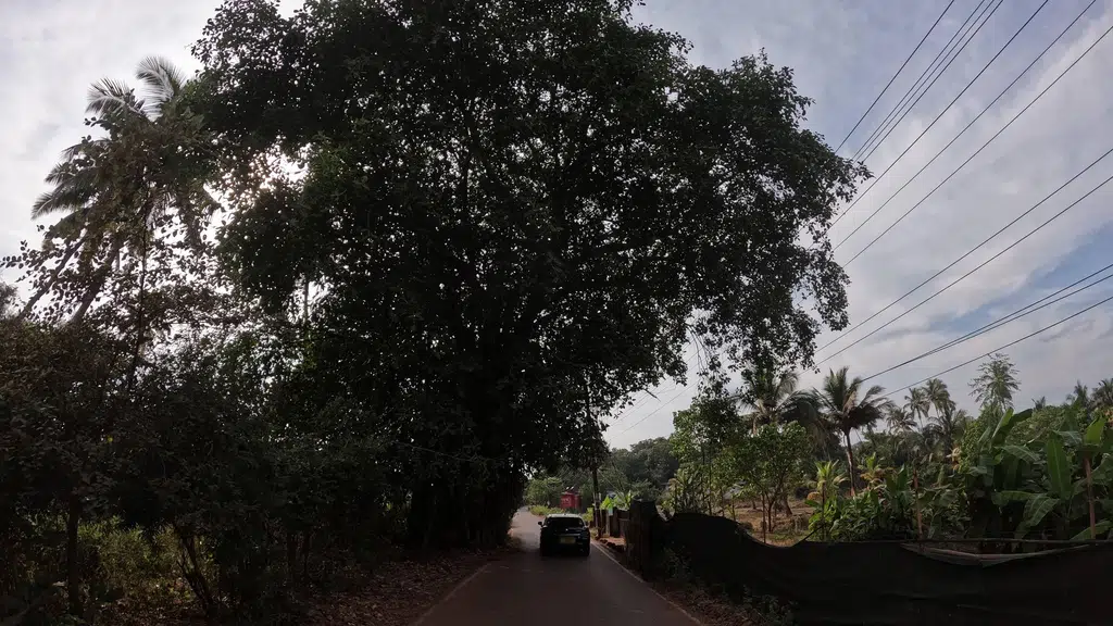 Shree Hanuman Mandir, Anjuna village, North Goa district, Goa India