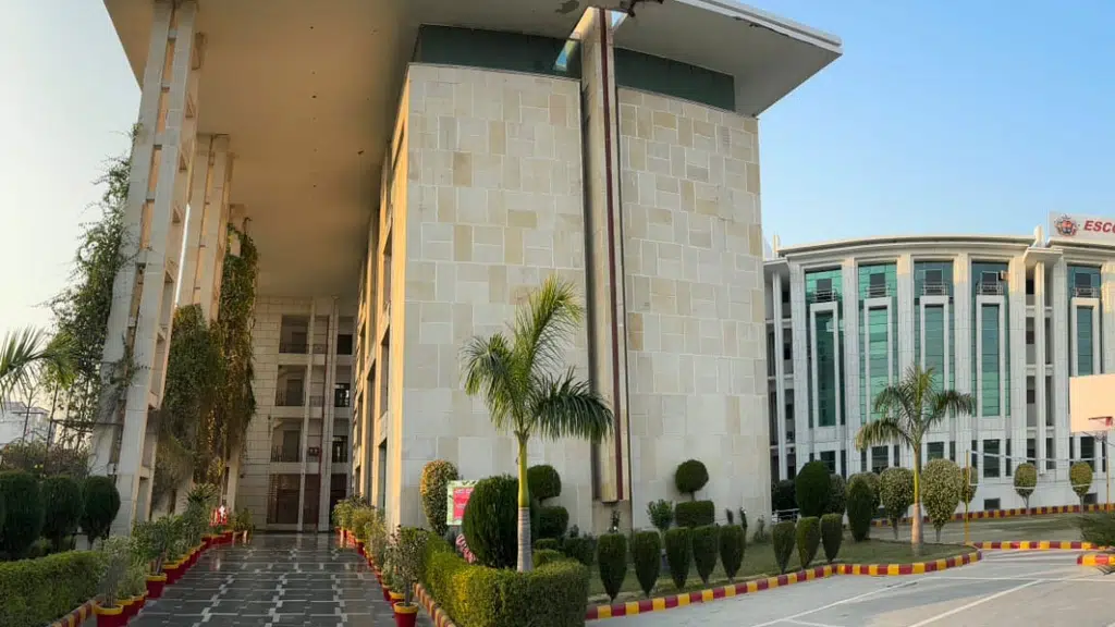 Escorts World School