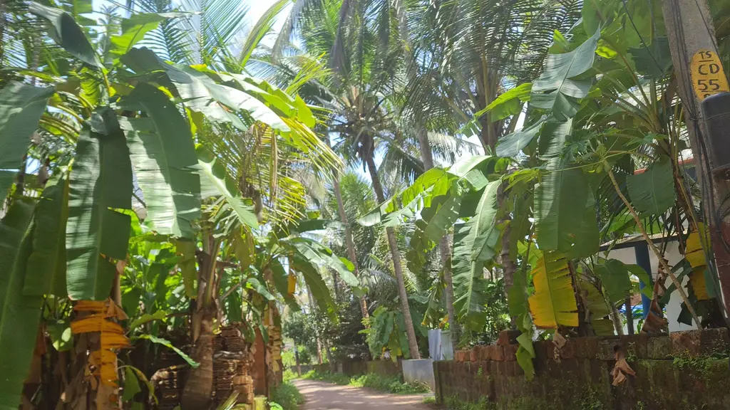 Shivapurot  Shiva Temple