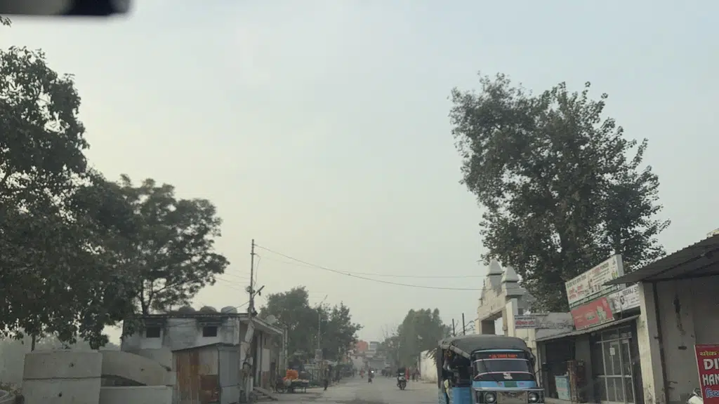 Gayatri Sisale Mart