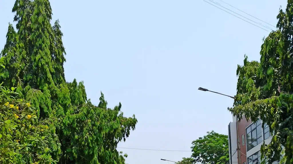 Villakku Pattam