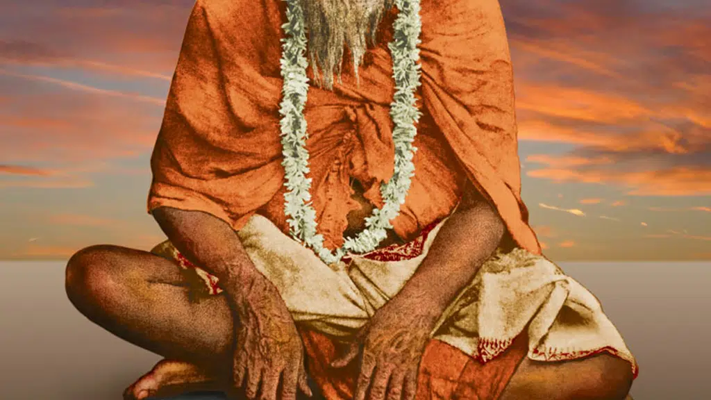 Sri Sri Balananda Ashrams