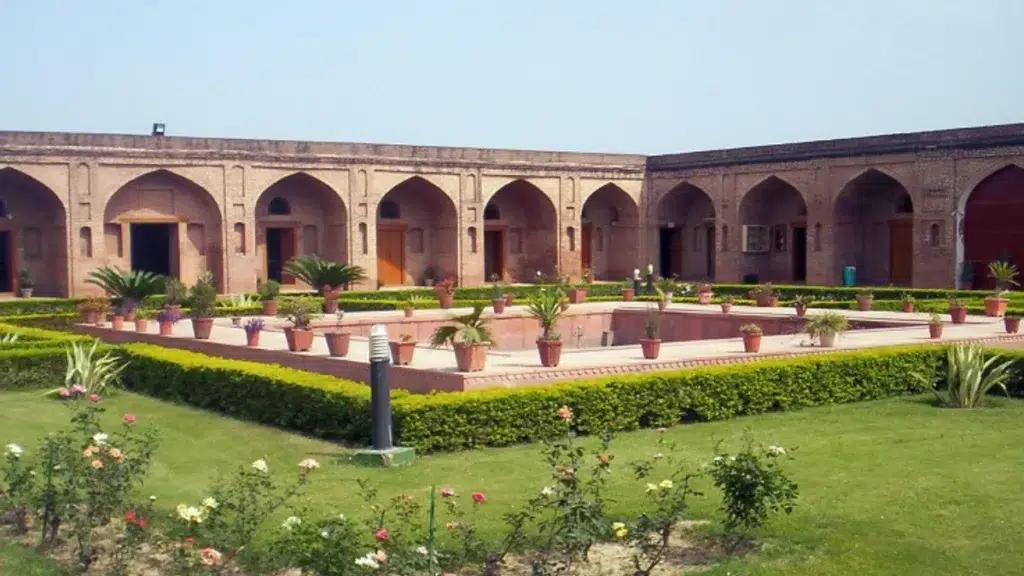 RGR-2 of Rakhigarhi