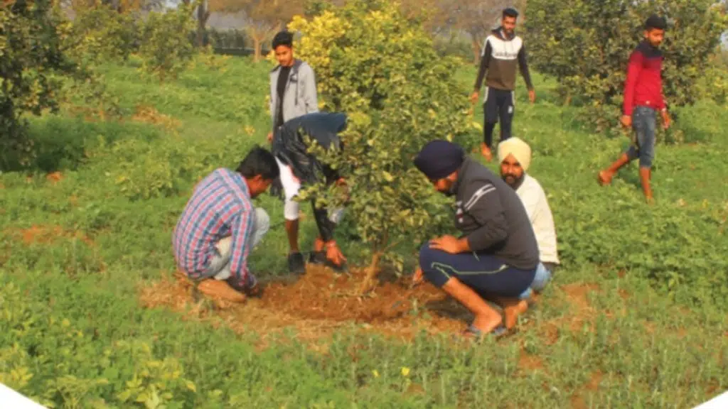 Jyani Natural Farm