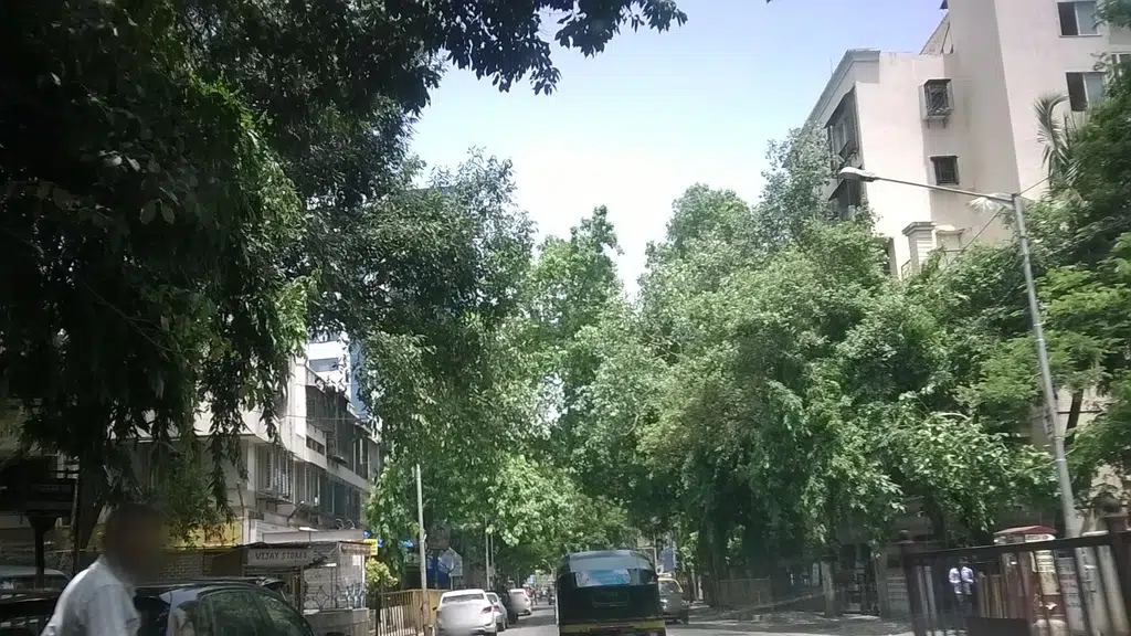 Vinayak Tower