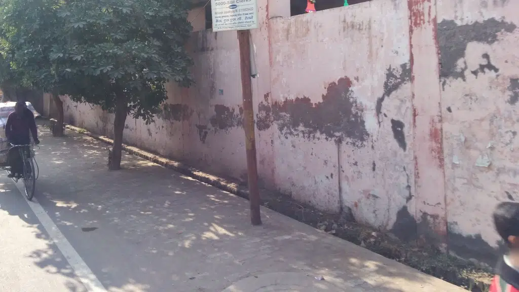 Dr Harleen Chhachhi
