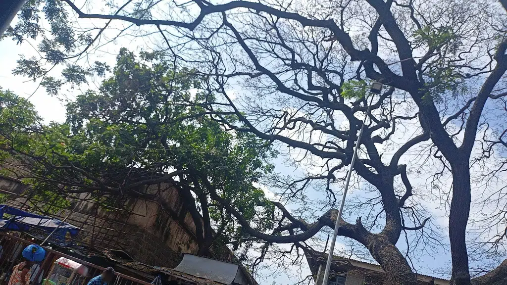 Kote Sri Anjaneya Swamy Temple