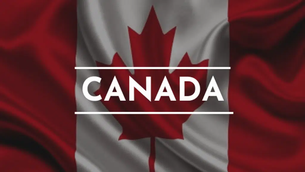 Stella Immigration and Educational Consultants