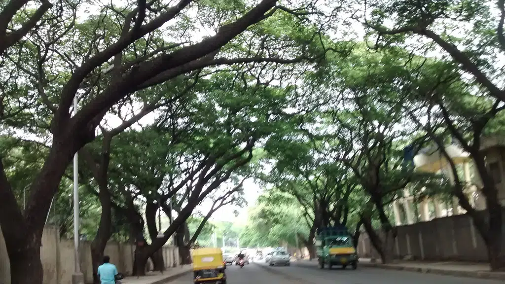 State Bank Of India ATM