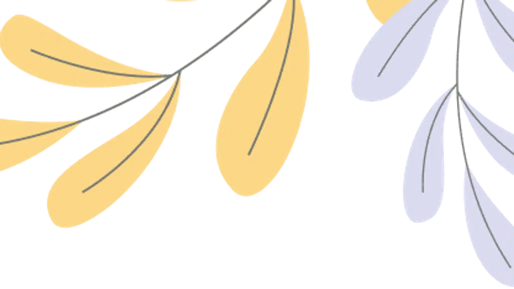Bossco Dry Fruits & Nuts