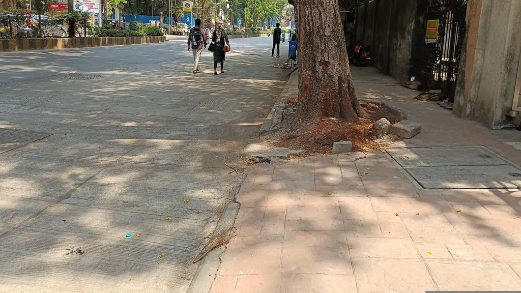 Kalpataru Yashodhan