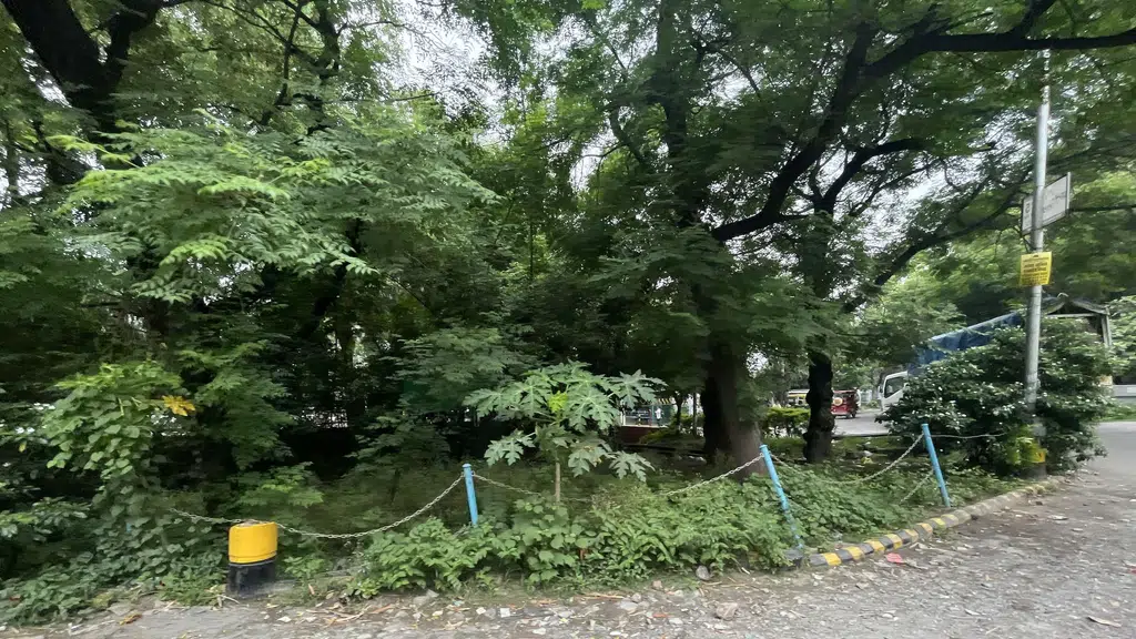 Nexa Nainital
