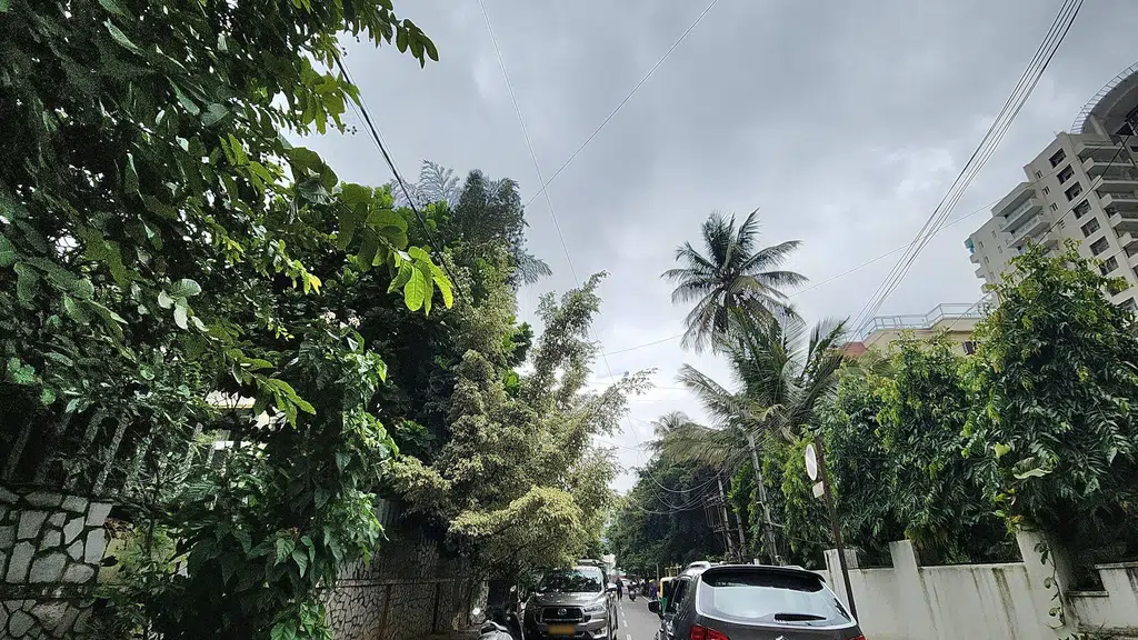 Bhuwalka Steel