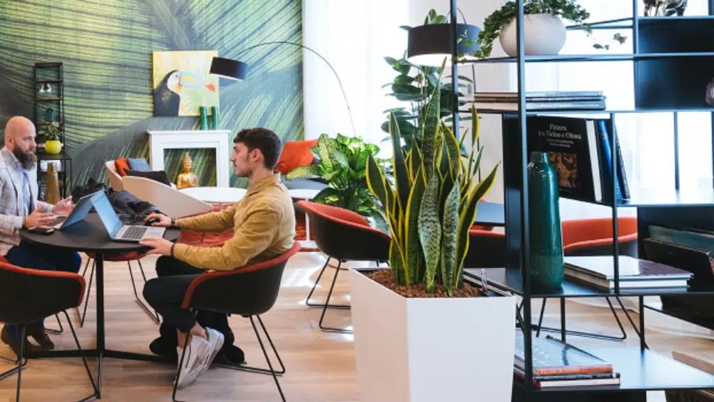 Make A Mine - Digital Marketing Agency