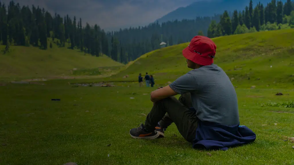 Flora Tour and Travels - Travel Agents Kashmir